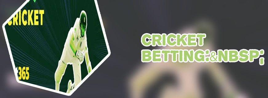 Baji bet cricket betting app download