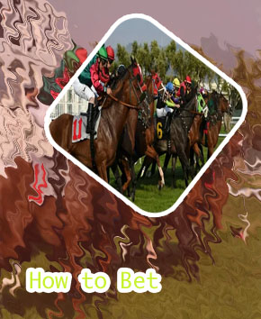 Betting on horses